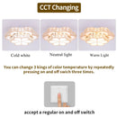 DecorBites™ Crystal LED Chandelier Ceiling Lamp Modern Elegant Indoor Decor Luminaire