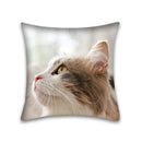 DecorBites™ Cute Cat Anime Pillow Case – 45x45cm Cartoon Cushion Cover for Home and Office