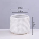DecorBites™ Gold Ceramic Flower Pot Succulent Vase Terrarium Plant Pots for Home Balcony Decor