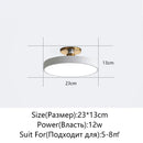 DecorBites™ LED Ceiling Lamp for Living Room Study Child Bedroom Indoor Lighting