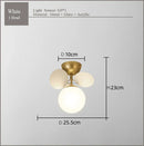 DecorBites™ Frost Glass Ceiling Chandelier for Home Indoor Lighting
