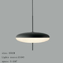 DecorBites™ Designer Iron Pendant Light: Modern & Creative Restaurant & Bar Lighting
