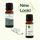 Scots Pine Essential Oil