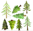 Woodland Forest and Paws - Fabric Nursery Wall Art Decals