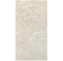 Bloom Grey Porcelain Tile 12"x24"
