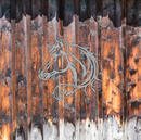 Horse Head