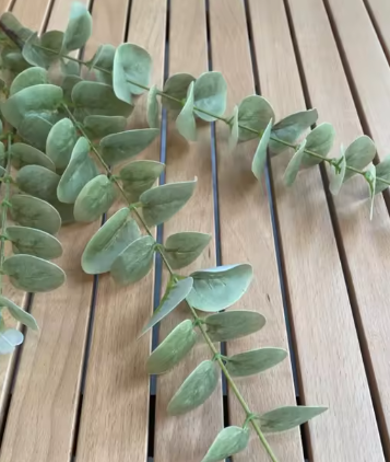 Artificial Real Touch Eucalyptus Stem - Bundle of 4 Stems