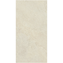 Tycoon Porcelain Tile 12"x24"