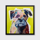 Scruffy - Limited Edition Canvas Print