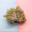 DecorBites™ 200pc Mini Flower Stamen Pistil Wedding Decoration DIY Artificial Cards Flowers