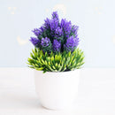 DecorBites™ Artificial Bonsai Tree Potted Plant for Home, Hotel & Garden Decor