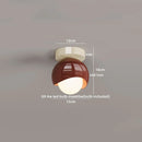 DecorBites™ Glass Iron LED Ceiling Lamp Light Fixtures Modern Home Decoration