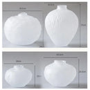 DecorBites™ Glass Pleats Vase for Hydroponics and Flower Arrangement