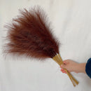 DecorBites™ Fluffy Pampas Grass Boho Decor Pampas Grass.
