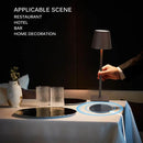 DecorBites™ 2023 Plodina USB Rechargeable Acrylic Table Lamp