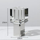 DecorBites™ Crystal Clear Glass Vase for Potted Plants and Floral Arrangements