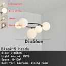 DecorBites™ Black Magic Bean Ceiling Chandelier with Golden Lamp Body Glass Pendant Light