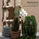 DecorBites™ Artificial Fern Vine for Home Decor and Photography Prop