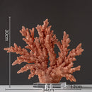 DecorBites™ Coral Resin Statue Desk Decoration Modern Home Decor Ornaments