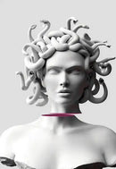 12style Choose Funny Art Sculpture Print Art Canvas Poster For Living Room Decor Home Wall Picture