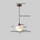 DecorBites™ LED Pendant Lamp Adjustable Wire Globe Hanging Light Fixtures