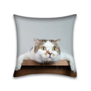 DecorBites™ Cute Cat Anime Pillow Case – 45x45cm Cartoon Cushion Cover for Home and Office