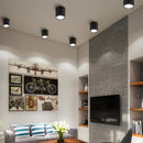 DecorBites™ COB LED Pendant Ceiling Spot Light for Kitchen/Home/Office Indoor Lighting
