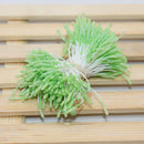 DecorBites™ 200pc Mini Flower Stamen Pistil Wedding Decoration DIY Artificial Cards Flowers