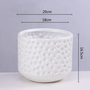 DecorBites™ Gold Ceramic Flower Pot Succulent Vase Terrarium Plant Pots for Home Balcony Decor
