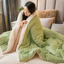 DecorBites™ Cozy Dual Use Flannel Duvet Cover - Autumn Winter Warmth Blanket Quilt