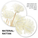 Natural Chrysanthemum Aroma Diffuser Rattan Reed Stick Reeds Straight Oil Reed Diffuser Aroma for Bathroom Office Home fragrance