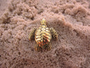 Sea Turtle Gold Lapel Pin