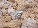 Seashell Lapel Pin