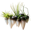 DecorBites™ Abstract Tooth Ceramic Flower Pot Hanging Vase for Artistic Home Decor