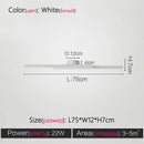 DecorBites™ 2023 Minimalist Nordic Ceiling Light for Living Room, Bedroom, Aisle & Balcony