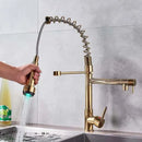 DecorBites™ LED Brushed Kitchen Faucet with Pull-Down Spring, Single Handle Swivel Spout