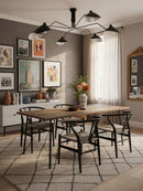 Serge Mouille Ceiling Light