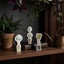 Set of 3 Wooden Topiary | Stand-Alone Wooden Plant Shaped Decor