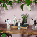 Set of 3 Wooden Topiary | Stand-alone Wooden Plant Shaped Decor