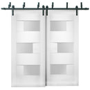 Sete 6933 White Silk Barn Doors with Frosted Glass | Black Bypass Rail