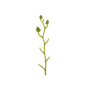 DecorBites™ Artificial Flower Stems for Wedding Garden Arch Decor Festive Party