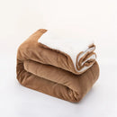 DecorBites™ Cozy Double-Layer Lamb Fleece Blanket - All Season Warmth Bedspread