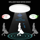 DecorBites™ LED Ceiling Lamp with Radar Motion Sensor | Smart Home Lighting 24W 36W 30cm