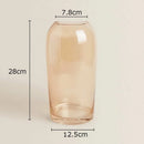 DecorBites™ Amber Glass Vase Transparent Hydroponics Flower Pot Modern Home Decor