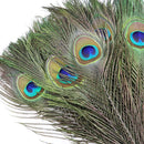 10/20/50PCS Natural Big Eyes Peacock Feathers 25-65CM for Wedding Home Table Center Vase Decoration Accessories Crafts Plume