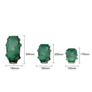 DecorBites™ Green Sea Cucumber Glass Vase Terrarium for Home Decoration