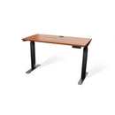 Atlas 48" Motorized Height Adjustable Standing Desk