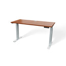 Atlas 54" Electric & Adjustable Stand-Up Computer Desk