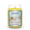 Beach Collection - Shaved Pineapple Ice™, Large Jar Candle (Collective)