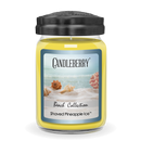 Beach Collection - Shaved Pineapple Ice™, Large Jar Candle (Collective)